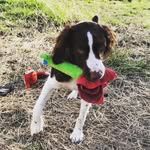 Cooper Kelly - @coop_the_brit - Instagram