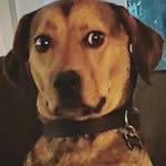 Cooper James Olson - @cooperjamesolson - Instagram