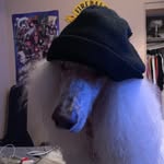 Cooper Osman - @cuwopa - Instagram