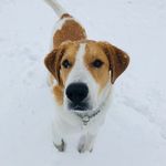 Cooper Payne - @cooperbeanpayne - Instagram