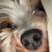 Cooper Payne - Facebook