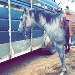 Cooper Payne - @co.oper7510 - Instagram