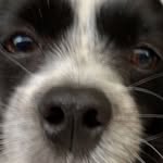 COOPER - @cooperpoeper - Instagram