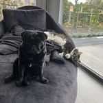 @cooper_poesy - Instagram
