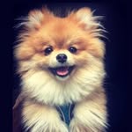 Cooper Prince 👑 - @_cooperprince_ - Instagram