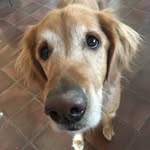 Cooper Princeton - @prince.cooperr - Instagram