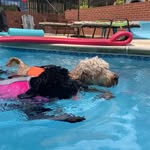Jennifer Hull - @cooper.prince_of_huske_manor - Instagram