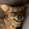 Cooper Renner - @mymomcallmespecial - TikTok