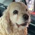 Cooper Riley - Facebook