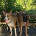 Cooper Riley - Facebook