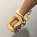 Cooper Riley - Facebook