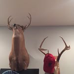 Cooper Robinson - @cooperrobinson2007 - Instagram