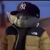 Cooper Robinson - @_cooper.robinson_ - TikTok