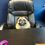 Cooper Rogers - Facebook
