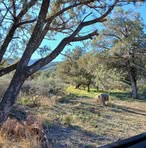 Cooper Rogers - Facebook