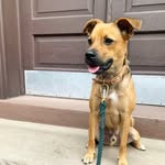 Cooper Rogers-Magid - @coop.on.the.stoop - Instagram