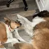 Cooperrogers - @cooper_rogers0827 - TikTok