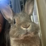 cooper + roy - @coopie_whoopie - Instagram