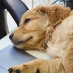 Cooper Roy - @cooper._.roy - Instagram