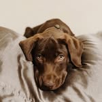 Cooper Skinner - @coopertrooper714 - Instagram