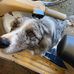 Cooper Thornely - Facebook