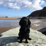 @cooper__thornton - Instagram