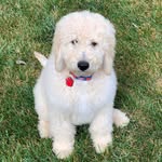 cooper yelich thornton - @cooper.y.thornton - Instagram