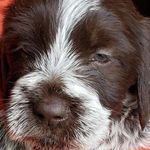 Montgomery_Cooper_Thornton - @montgomery_cooper_thornton - Instagram