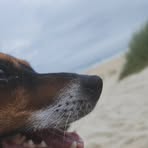 Cooper Wade - Facebook