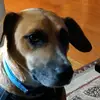 Cooper Wallace - @cooper.wallace473 - TikTok