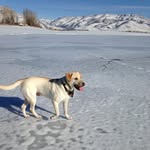 Cooper Watts - @_cooper.watts_ - Instagram