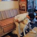 Cooper Yang - Facebook