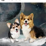 Cooper Yang - @julia8seattle - Instagram