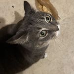 kora Allen - @cora.allen.16568 - Instagram