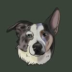 Cora & Bailey - @wandering__paws - Instagram