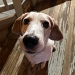 Cora Bailey - @pemipebblerex - Instagram