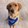 Cora Bell - @corabellthegolden - TikTok