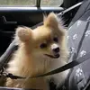 cora_bentley - @cora_bentley - TikTok