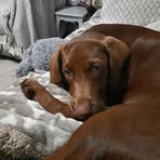 Cora Carey - Facebook