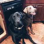 Cope, Cash & Cora Ellenburg - @cope_cash_cora - Instagram
