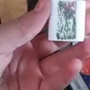 cora_cash123 - @cora_cash123 - TikTok