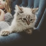 cora cash luna - @coracashluna - Instagram