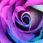 Coracash - @coracash55 - Instagram