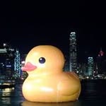 Cora Cheung - @cora_ma - Instagram