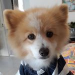 cora chung - @corachung9 - Instagram