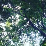 Cora Davidson - @coradavidson12345 - Instagram