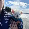 RunnRGrl - @coraeddy8 - TikTok