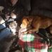 Cora Edwards - Facebook