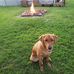 Cora Fuller - Facebook