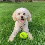May Cora Fuller - @maycorafuller - Instagram